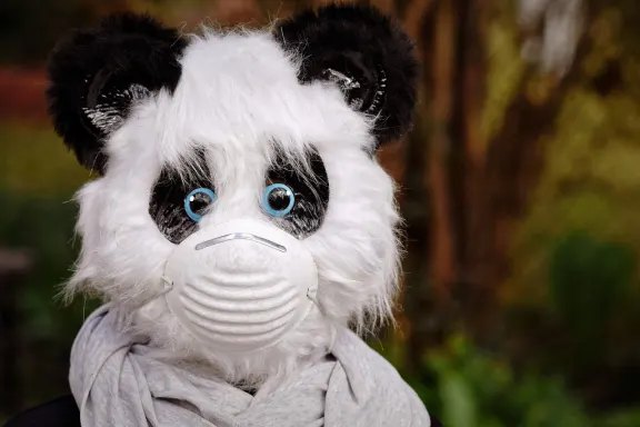 Καζίνο οφ Δρεαμς Υποστηριξη